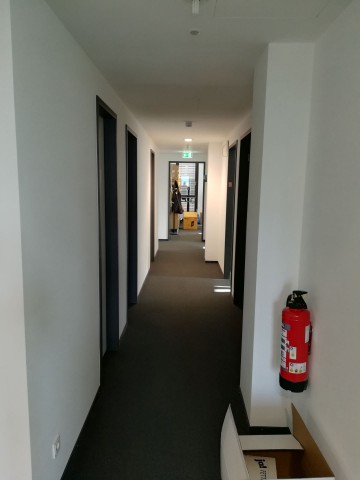 Ein mit dem P8 Lite (2017) aufgenommenes Foto (Bild: Tobias Költzsch/Golem.de)